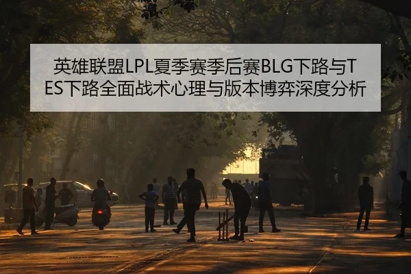 英雄联盟LPL夏季赛季后赛BLG下路与TES下路全面战术心理与版本博弈深度分析